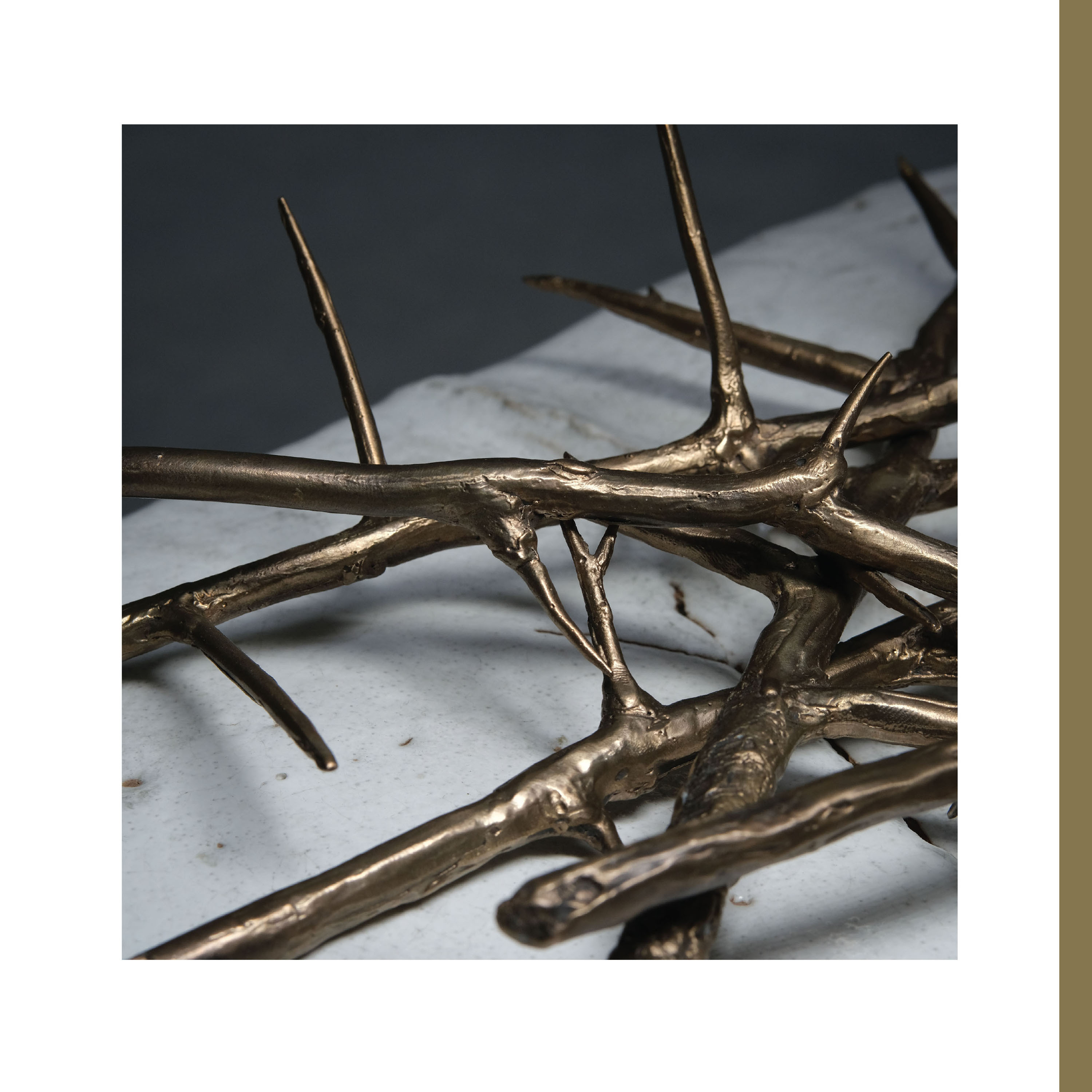 De Doorn (Version 2) Longsleeve Shirt + De Doorn (Version 2) 2LP Bundle