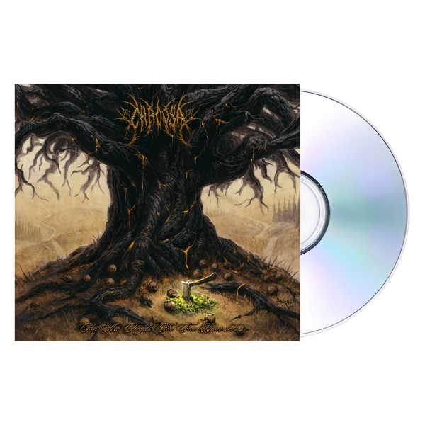 'The Axe Forgets, The Tree Remembers'