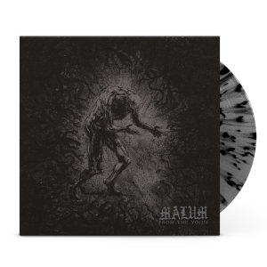 From The Voids