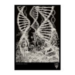 Dissonance Theory