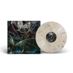 Pre-Order: Perpetual Mockery