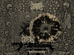 Old Blood - Fresh Wounds