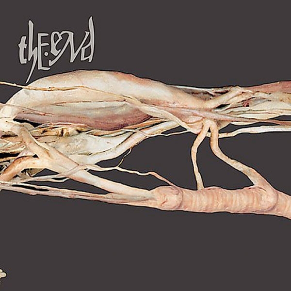 Transfer Trachea Reverberations From Point: False Omniscient