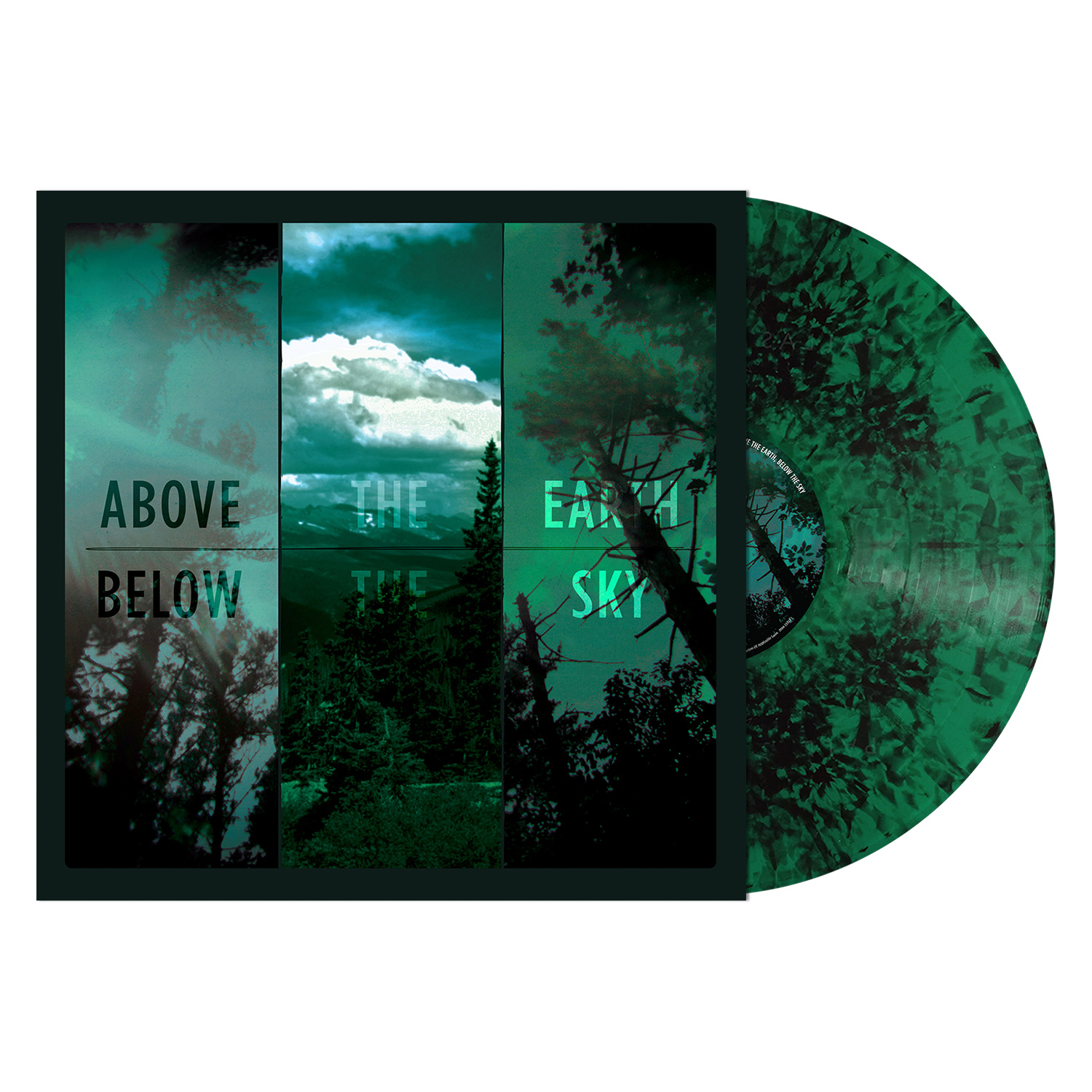 If These Trees Could Talk Cover